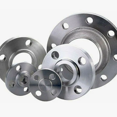 Bride SS316 pour raccordement de tuyaux
